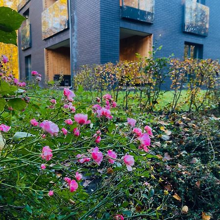 Hajnówka Apartament Magia Puszczy Z Widokiem Na Puszcze Bialowieska מראה חיצוני תמונה